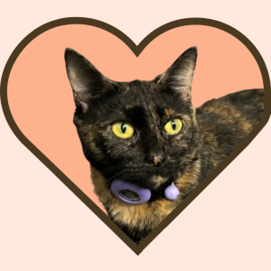 cleo